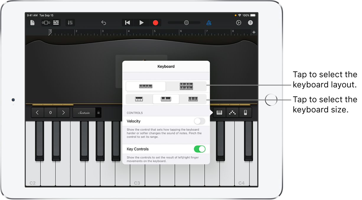 Keyboard layout and size controls