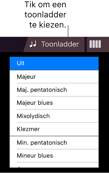 Knop 'Toonladder' en toonladderlijst voor de snaarinstrumenten