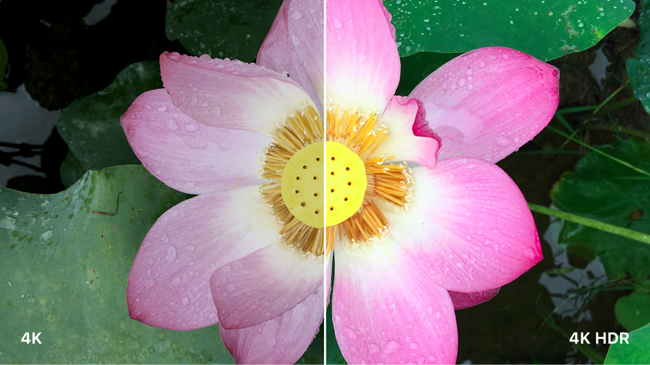 Side-by-side comparison of standard-dynamic-range color and high-dynamic-range color.