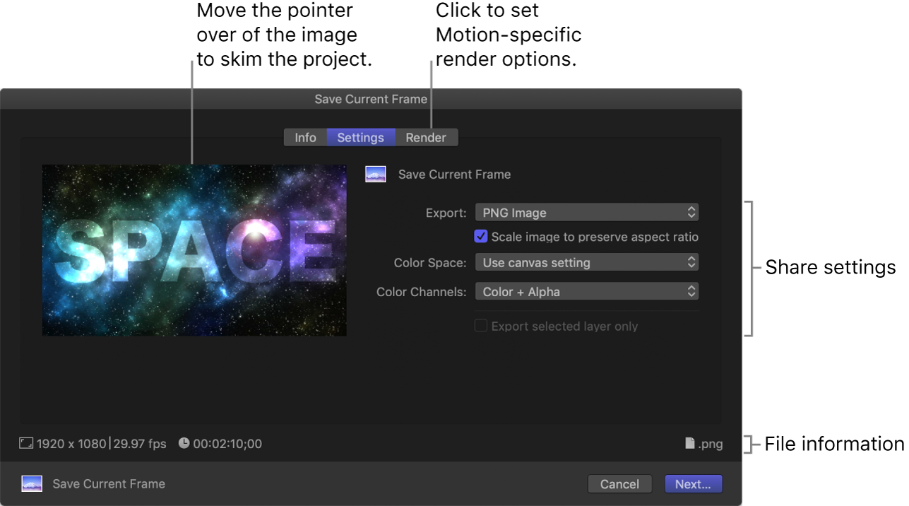 Settings pane of Save Current Frame window