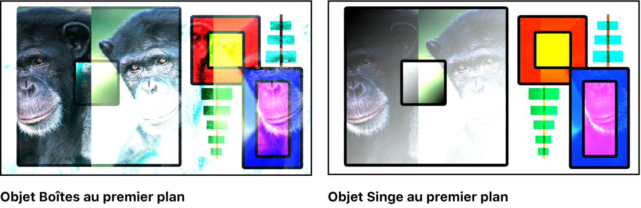 Canevas affichant les boîtes et le singe fusionnés à l’aide du mode Densité couleur –