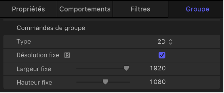 Inspecteur de groupe avec la case Résolution fixe cochée