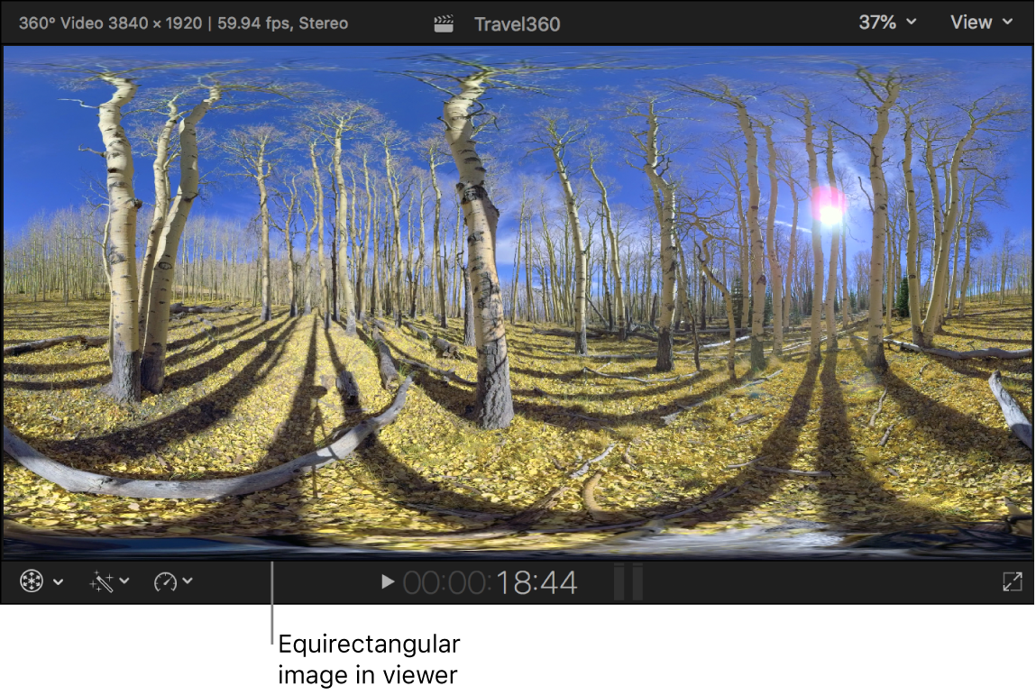 Imagen de 360º equirrectangular en el visor