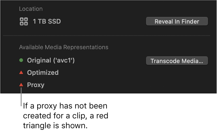 「情報」インスペクタ。選択したクリップにプロキシファイルがないことを示す赤い三角が表示されている