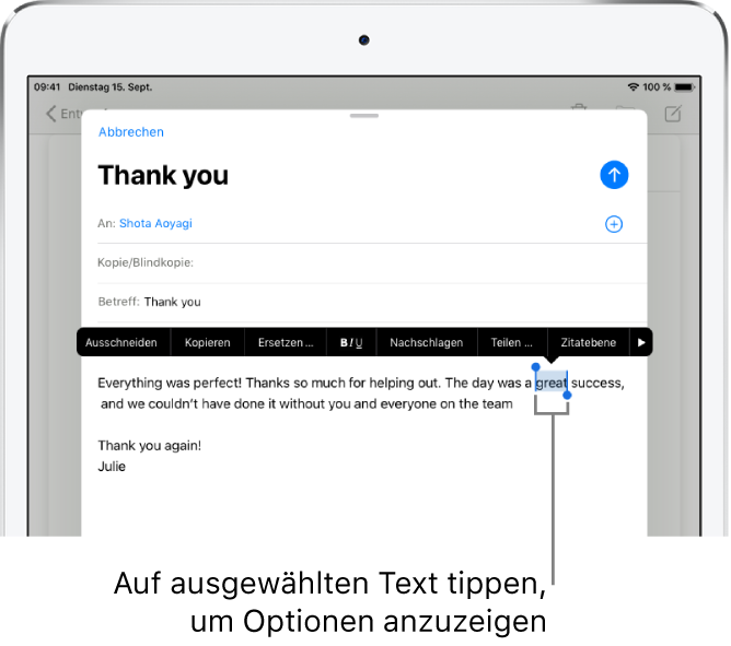 Beispiel einer E-Mail-Nachricht mit ausgewähltem Text. Über der Auswahl befinden sich die Tasten „Ausschneiden“, „Kopieren“, „Einsetzen“ und „Ersetzen“. Der ausgewählte Text ist hervorgehoben und an beiden Seiten befinden sich Aktivpunkte.