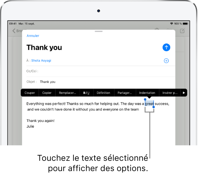 Un exemple d’e-mail avec une partie du texte sélectionné. Au-dessus de la sélection se trouvent les boutons Couper, Copier, Coller et Remplacer. Le texte sélectionné est mis en évidence avec des poignées de chaque côté.