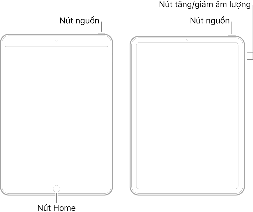 Các hình minh họa của hai kiểu máy iPad khác nhau có màn hình hướng lên trên. Hình minh họa ngoài cùng bên trái hiển thị một kiểu máy có nút Home ở cuối thiết bị và nút nguồn ở cạnh trên cùng bên phải của thiết bị. Hình minh họa ngoài cùng bên phải hiển thị một kiểu máy không có nút Home. Trên thiết bị này, các nút tăng âm lượng và giảm âm lượng được hiển thị ở cạnh bên phải của thiết bị gần trên cùng và nút nguồn được hiển thị ở cạnh trên cùng bên phải của thiết bị.