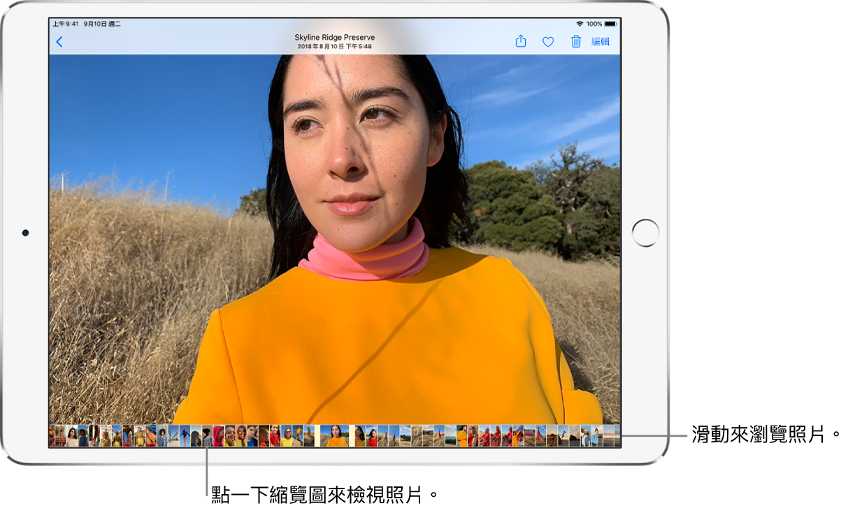 以全螢幕顯示一張照片，螢幕底部是一列圖庫中其他照片的縮覽圖。左上角為「返回」按鈕，可讓您返回瀏覽。沿著右上方依序是「分享」、「喜歡」、「刪除」和「編輯」按鈕。