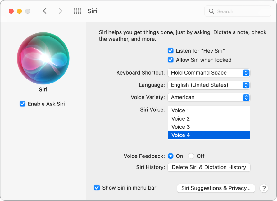 Das Fenster der Systemeinstellung „Siri“ mit ausgewählter Option „„Siri fragen“ aktivieren“ links und mehreren Optionen zum Anpassen von Siri rechts, u. a. „Auf „Hey Siri“ achten“.