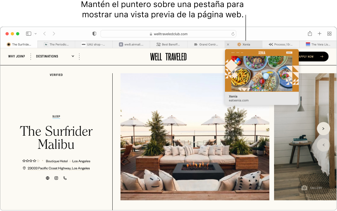 Una ventana de Safari con una página web activa titulada “Well Traveled” junto con nueve pestañas adicionales y texto indicando una vista previa de la pestaña “Grand Central Market” con el texto “Coloca el puntero sobre una pestaña para ver una vista previa de la página web”.