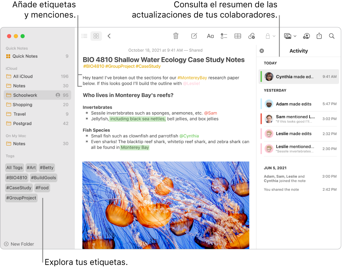 Una ventana de Notas en la vista como galería con una llamada a las etiquetas de la barra lateral. En la nota principal, hay una llamada a una etiqueta y una mención. A la derecha hay una lista de actividades con una llamada que muestra un resumen de las actualizaciones.