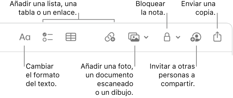 La barra de herramientas de Notas con llamadas a las herramientas de formato de texto, lista de comprobación, tabla, enlace, fotos/contenido multimedia y enviar una copia.