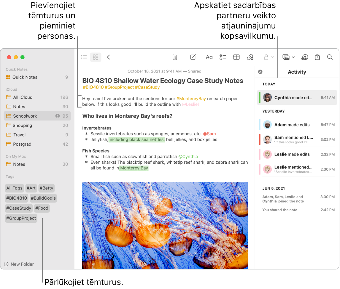 Lietotnes Notes logs skatā Gallery ar remarkām pie tēmturiem sānu joslā. Galvenajā piezīmē ir redzamas remarkas pie tēmtura un pieminēšanas. Pa labi ir darbību saraksts ar remarku atjauninājumu kopsavilkuma skatīšanai.