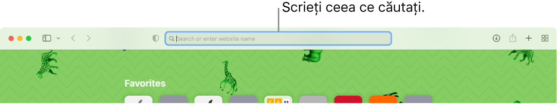 O fereastră Safari decupată, cu o explicație pentru câmpul de căutare din partea de sus a ferestrei.
