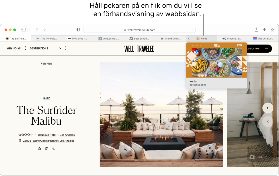 Ett Safari-fönster med en aktiv webbsida som heter ”Well Traveled”, tillsammans med 9 ytterligare flikar och ett streck till en förhandsvisning av fliken ”Grand Central Market” med texten ”Håll pekaren över en flik för att se en förhandsvisning av webbsidan”.