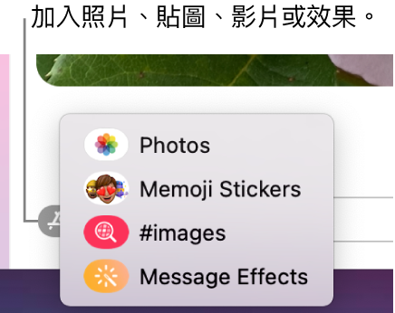 包含顯示照片、Memoji 貼圖、GIF 和訊息效果選項的 App 選單。