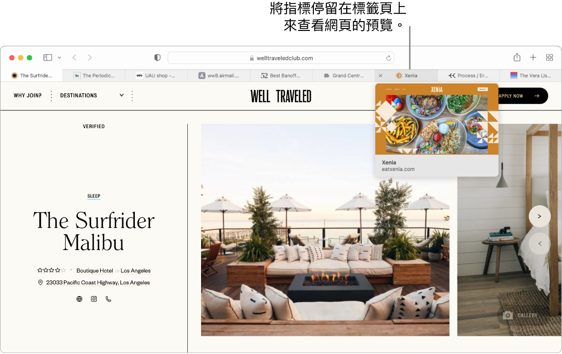 Safari 視窗顯示「好好旅行」作用中網頁，另外還有 9 個標籤頁，以及指向「大中央市場」標籤頁預覽畫面的圖說，帶有「將指標停留在標籤頁上來查看網頁預覽」的文字。