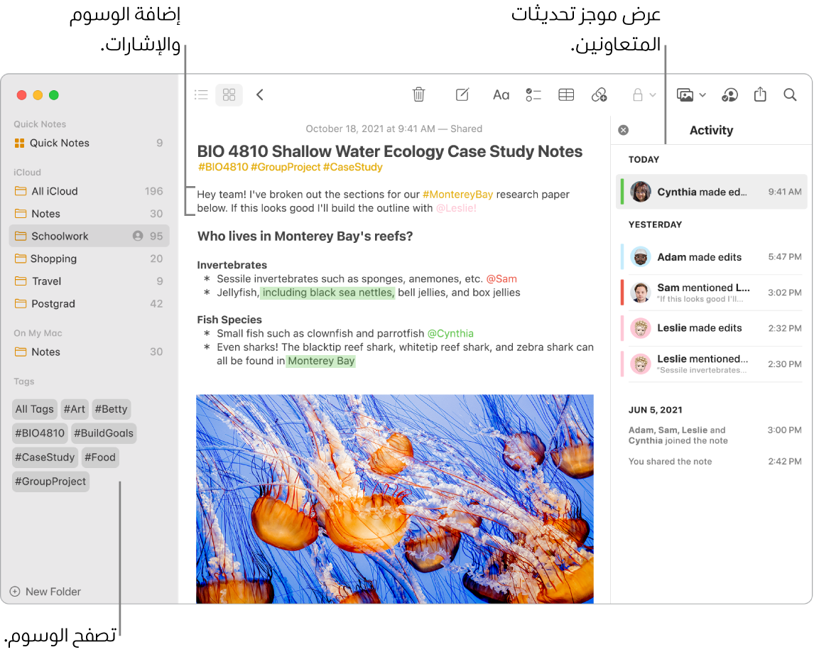 نافذة في تطبيق الملاحظات في عرض المعرض تظهر بها وسيلة شرح للوسوم في الشريط الجانبي. في الملاحظة الرئيسية، توجد وسيلة شرح لوسم وإشارة. على اليسار، توجد قائمة أنشطة بها وسيلة شرح لعرض ملخص التحديثات.