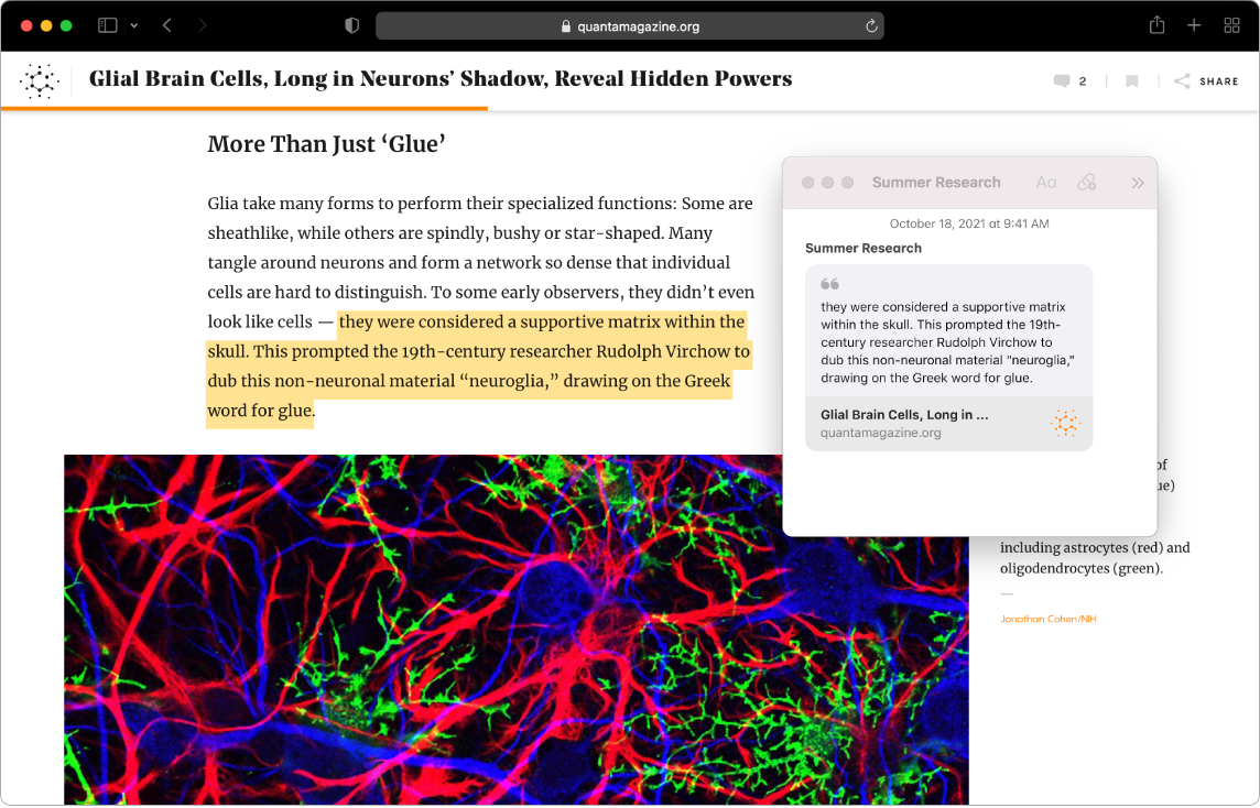 Et Safari-vindue med fremhævet tekst i en magasinartikel og en hurtignote med titlen “Summer Research”, der indeholder teksten og et link til artiklen.