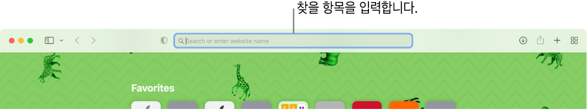 윈도우 상단에 검색 필드에 대한 설명이 있는 잘린 Safari 윈도우.