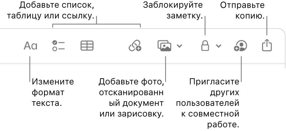 Панель инструментов в приложении «Заметки». Выносками отмечены инструменты форматирования, добавления списка, таблицы, ссылки, мультимедиа, кнопка для установки пароля, кнопка «Поделиться» и кнопка «Отправить копию».