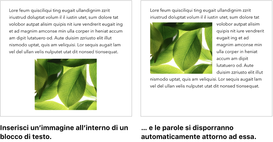 Una finestra di Pages che illustra come il testo si dispone attorno alla grafica.