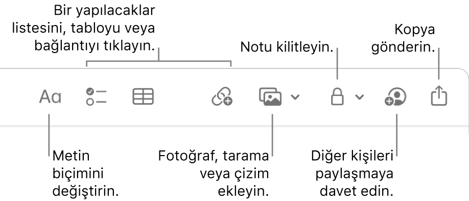 Metin biçimi belirtme çizgileri, yapılacaklar listesi, tablo, bağlantı, fotoğraflar/ortam, kilitleme, paylaşma ve kopya gönderme araçları ile Notlar araç çubuğu.