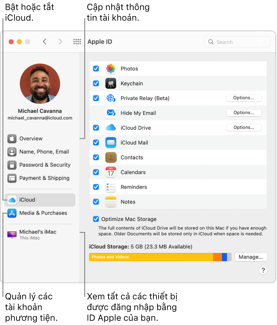 Khung ID Apple trong Tùy chọn hệ thống. Bấm vào một mục trong thanh bên để cập nhật thông tin tài khoản của bạn, bật hoặc tắt iCloud, quản lý các tài khoản phương tiện và xem tất cả các thiết bị được đăng nhập bằng ID Apple của bạn.