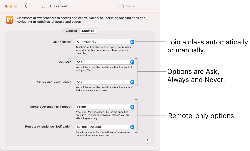 Students’ view of Classroom permissions that are available to them.