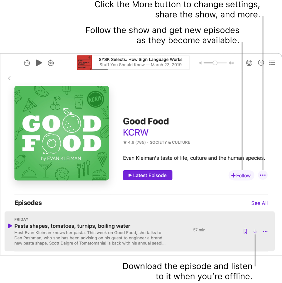 The show detail screen. Click Follow to get new episodes as they become available. Click the More button to change settings, share the show, and more. Download the episode if you want to listen to it when you’re not connected to the internet.