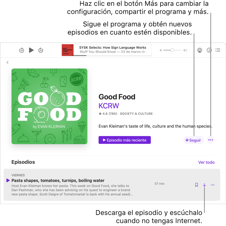 La pantalla con detalles del programa. Haz clic en el sotón seeguir para obtener los episodios nuevos en cuanto estén disponibles. Haz clic en el botón Más para cambiar la configuración, compartir el programa y más. Descarga el episodio si quieres escucharlo cuando no tengas una conexión a Internet.