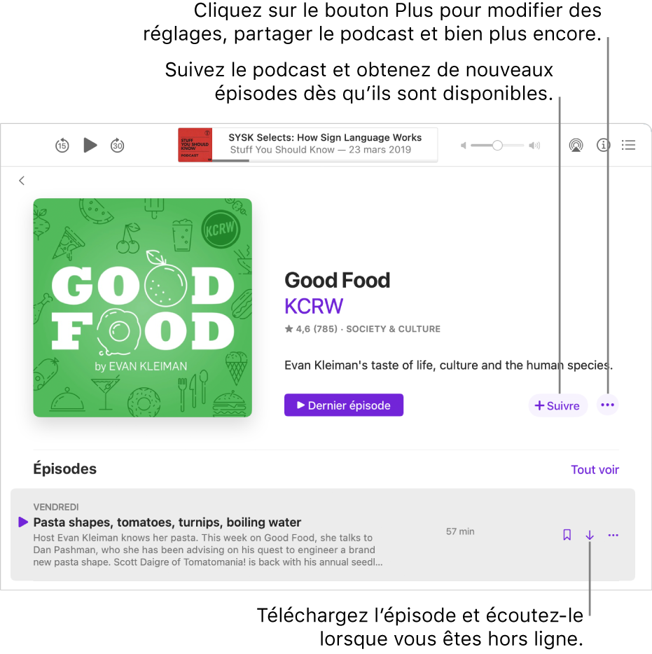 L’écran de détails du podcast. Cliquez sur Suivre pour télécharger les nouveaux épisodes dès qu’ils sont disponibles. Cliquez sur le bouton Plus pour modifier les réglages, partager le podcast, et plus encore. Téléchargez l’épisode si vous souhaitez l’écouter lorsque vous n’êtes pas connecté à Internet.