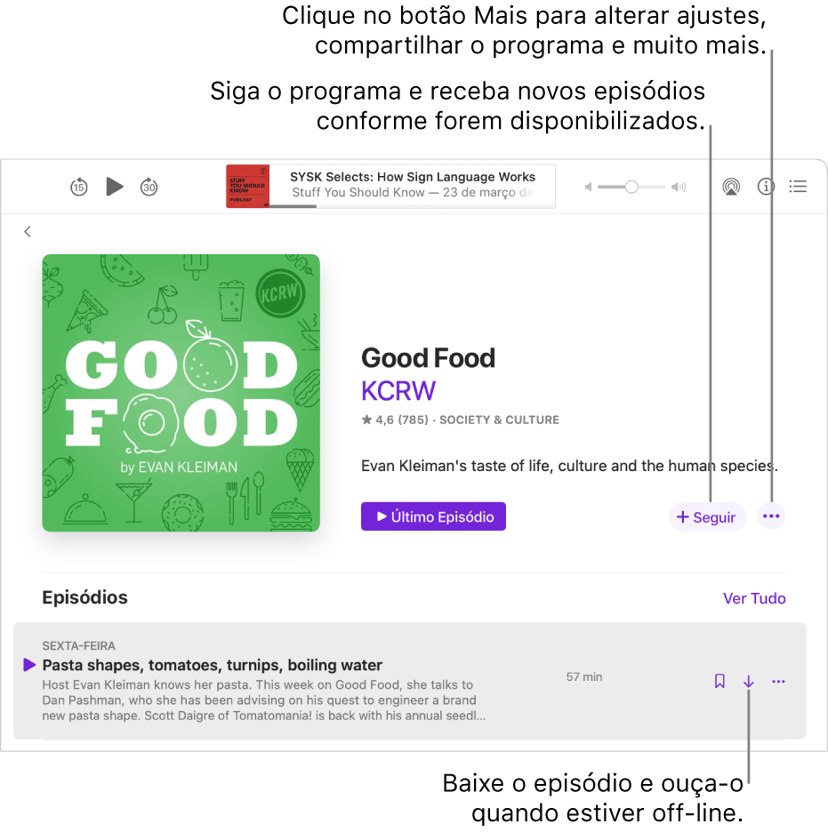 Tela de detalhes. Clique em Seguir para obter novos episódios conforme forem disponibilizados. Clique no botão Mais para alterar ajustes, compartilhar o podcast e muito mais. Baixe o episódio caso queira ouvi-lo quando estiver desconectado da internet.