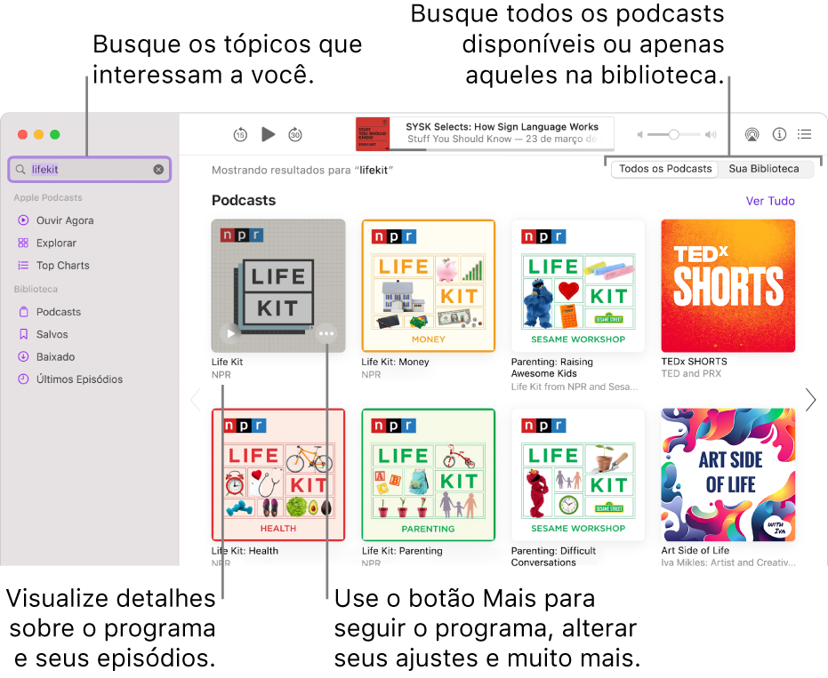 Janela do app Podcasts mostrando texto digitado no campo de busca no canto superior esquerdo, além de episódios e podcasts que correspondem à busca de todos os podcasts na tela à direita. Clique no link abaixo do podcast para visualizar detalhes sobre o podcast e seus episódios. Use o botão Mais do podcast para segui-lo, alterar ajustes e muito mais.