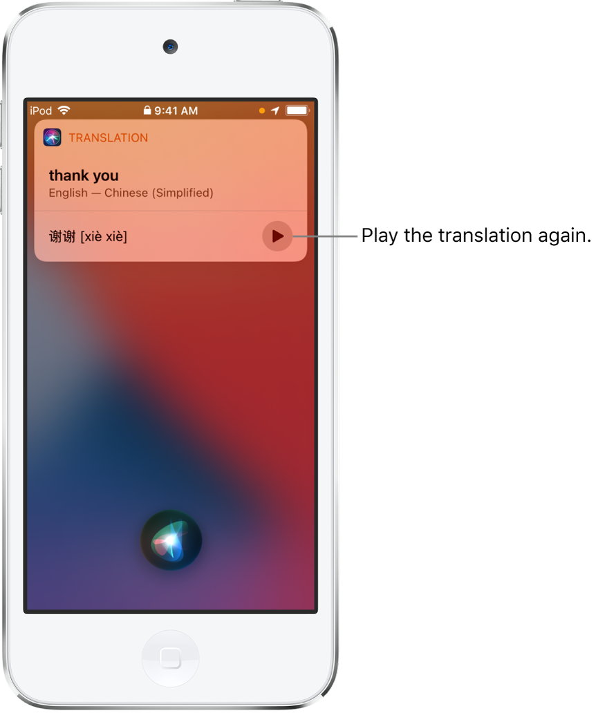 Siri displays a translation of the English phrase “thank you” into Mandarin. A button to the right of the translation replays audio of the translation.