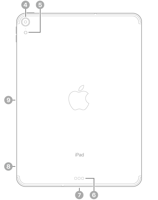 The back view of iPad Pro with callouts going clockwise from the top left: rear camera, flash, Smart Connector, USB-C connector, SIM tray (Wi-Fi + Cellular), and magnetic connector for Apple Pencil.