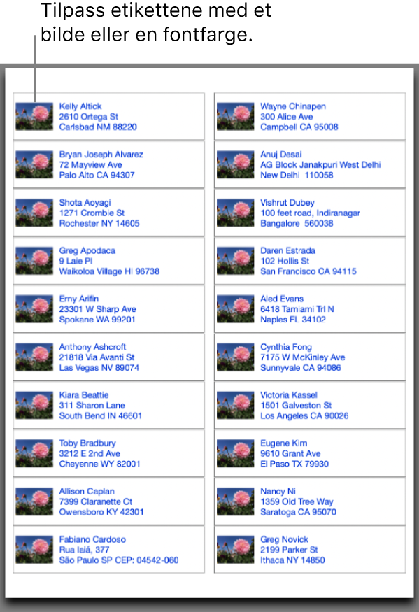 En forhåndsvisning av adresseetiketter, tilpasset med et bilde og en fontfarge, klar for utskrift.