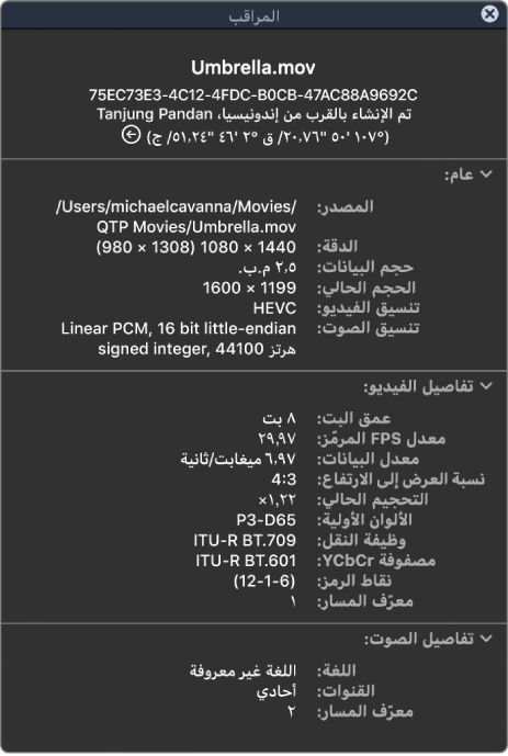 مراقب الأفلام يعرض معلومات عامة عن الملف بما فيها الدقة وحجم البيانات وتنسيق الفيديو والصوت. تعرض النافذة كذلك تفاصيل الفيديو والصوت عن الملف المحدد.