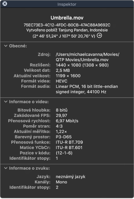 Inspektor filmu s obecnými informacemi o souboru, včetně rozlišení, velikosti dat, formátu videa a zvuku. Okno také zobrazuje podrobnosti o videu a zvuku vybraného souboru.