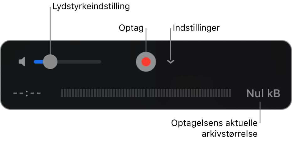 Betjeningsmulighederne til optagelse, inkl. justering af lydstyrke, knappen Optag og lokalmenuen Indstillinger.