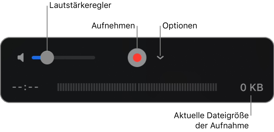 Aufnahmensteuerungen einschließlich Lautstärkeregler, Aufnahmetaste und Einblendmenü „Optionen“