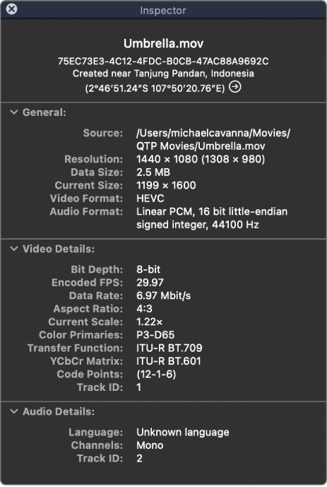 The Movie Inspector showing general information about the file including resolution, data size, and video and audio format. The window also shows video and audio details about the selected file.