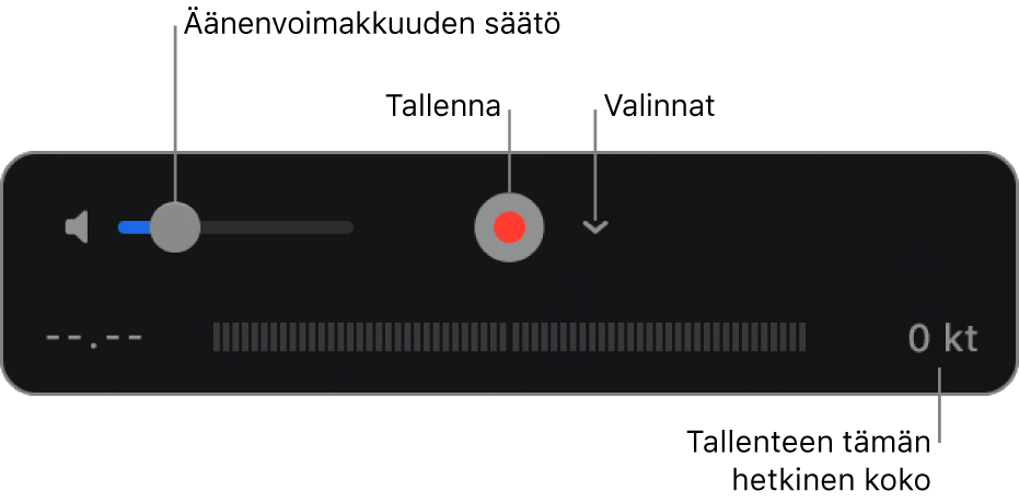 Tallennussäätimet, mukaan lukien äänenvoimakkuuden säädin, äänityspainike ja Valinnat-ponnahdusvalikko.