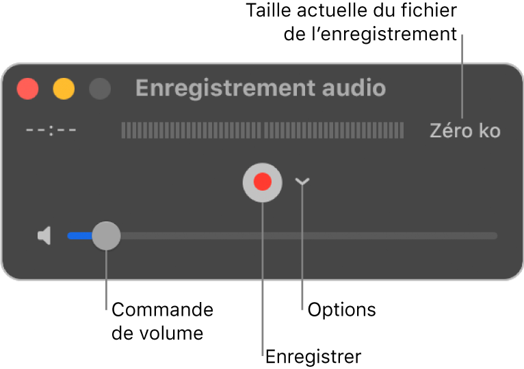 La fenêtre d’enregistrement audio avec le bouton Enregistrer et le menu local Options au centre de la fenêtre, et le contrôle du volume en bas.