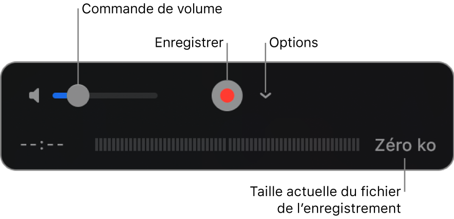 Les commandes d’enregistrement, notamment le contrôle du volume et le bouton Enregistrer, et le menu local Options.