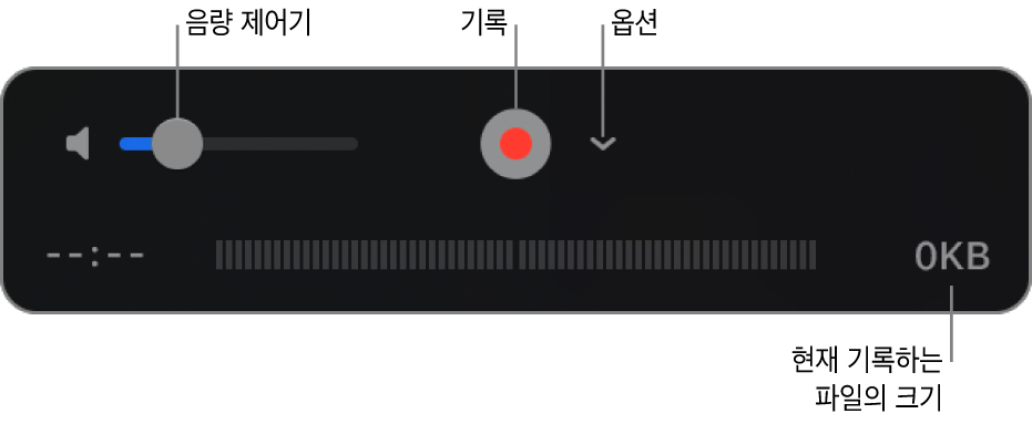 음량 제어기, 기록 버튼 및 옵션 팝업 메뉴를 포함하는 기록 제어기.