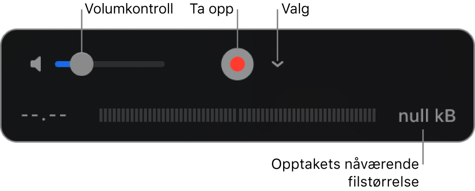 Opptakskontrollene, inkludert volumkontrollen, Ta opp-knappen og Valg-lokalmenyen.