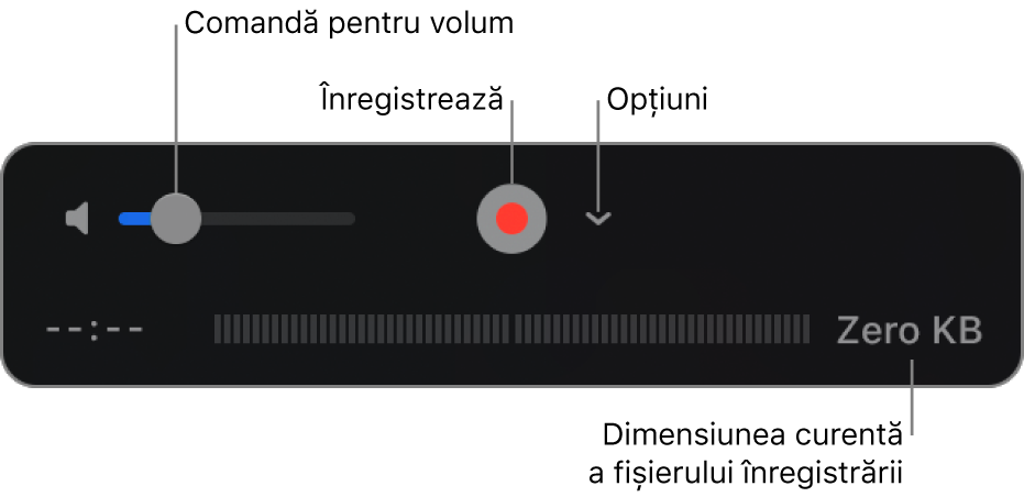 Comenzile de înregistrare, inclusiv comanda pentru volum, butonul Înregistrează și meniul pop-up Opțiuni.