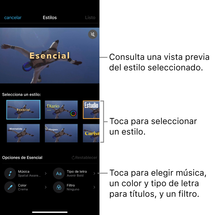 El visor mostrando una vista previa de un estilo seleccionado con opciones de estilo en la parte inferior. Los botones para agregar música, aplicar un filtro y seleccionar el color y tipo de letra de los títulos se encuentran en la parte inferior de la pantalla.