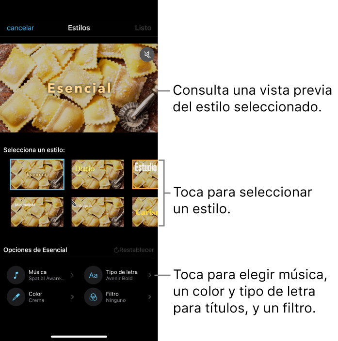El visor mostrando una vista previa de un estilo seleccionado con opciones de estilo en la parte inferior. Los botones para agregar música, aplicar un filtro y seleccionar el color y tipo de letra de los títulos se encuentran en la parte inferior de la pantalla.